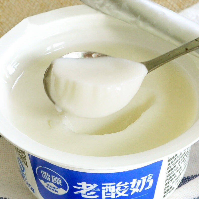 雪原老酸奶160gx12装整箱 内蒙古风味酸牛奶 产发
