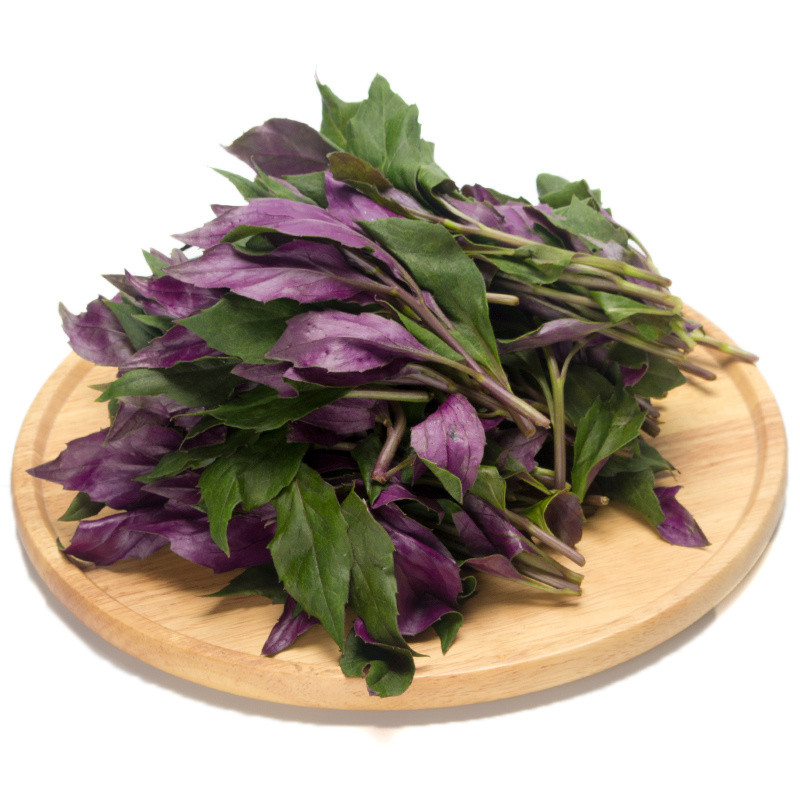 观音菜500g 观音菜 紫背天葵 紫背菜 血皮菜 新鲜蔬菜