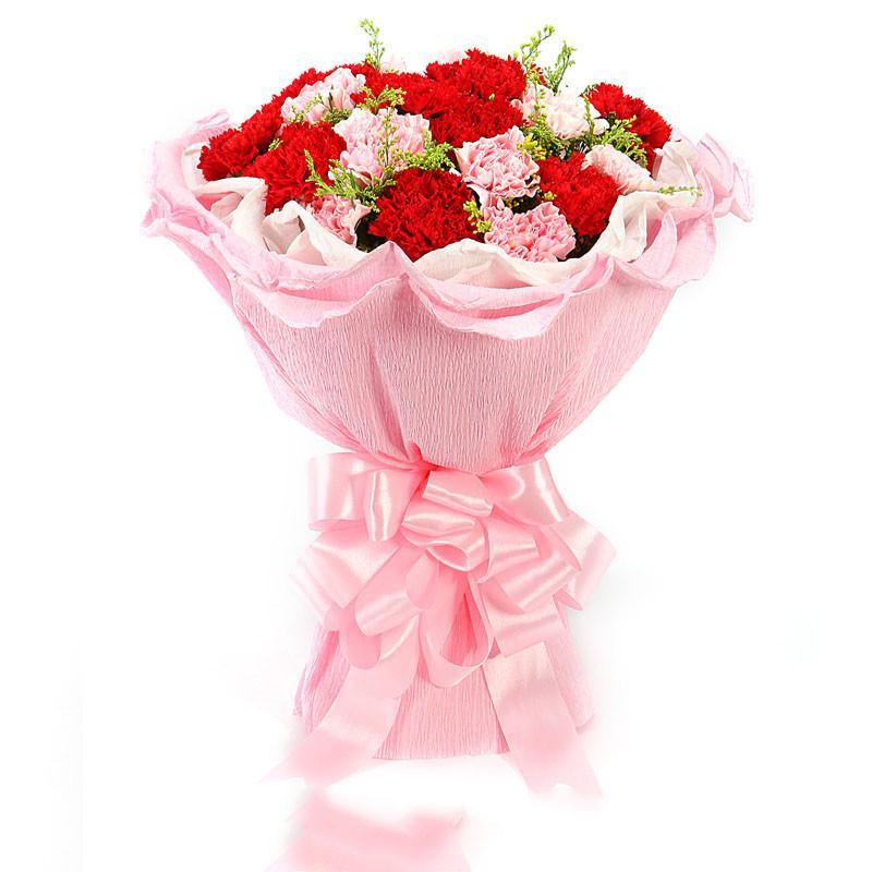 花袭人 鲜花速递全国 19朵红康粉康混搭鲜花花