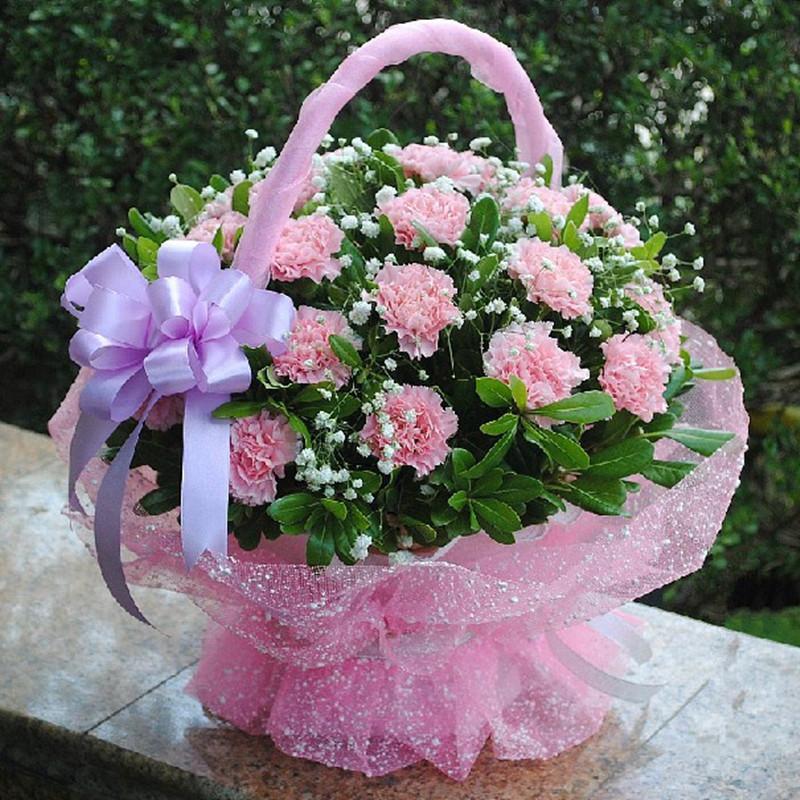 五二零鲜花速递 父亲节祝福花束 33朵康乃馨鲜花花篮长辈生日礼物