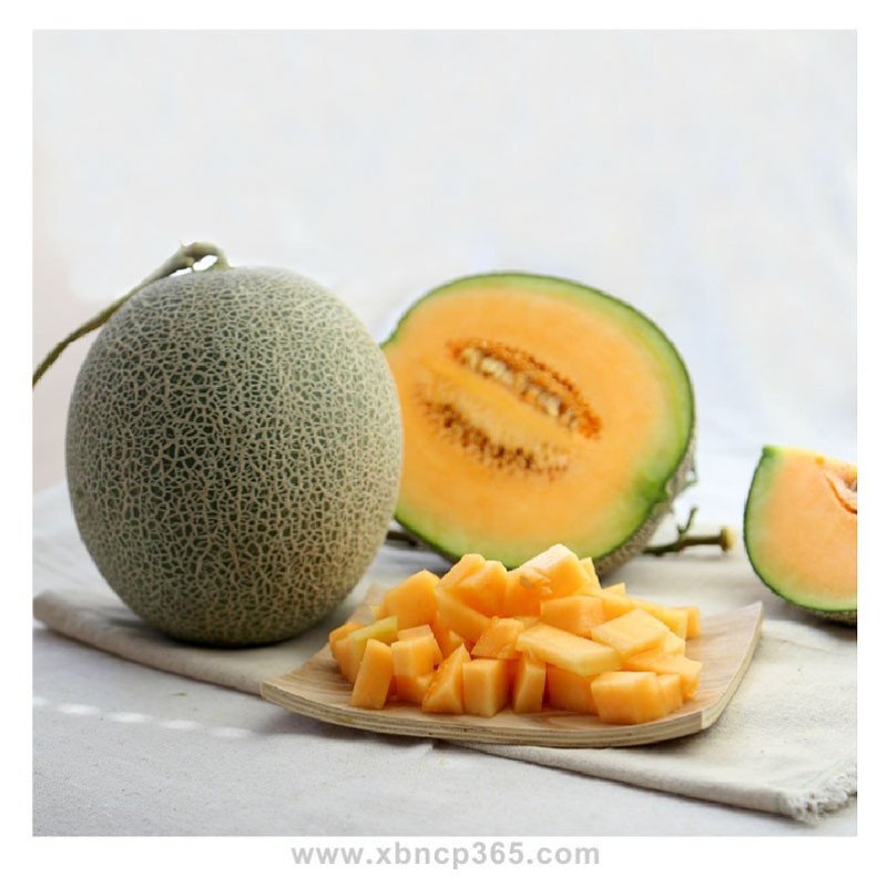 西州密哈密瓜 约1.5kg\/个 水果哈密瓜新疆哈密