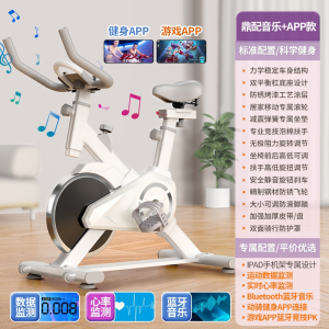 动感单车家用款小型智能室内健身健身房同款运动自行车