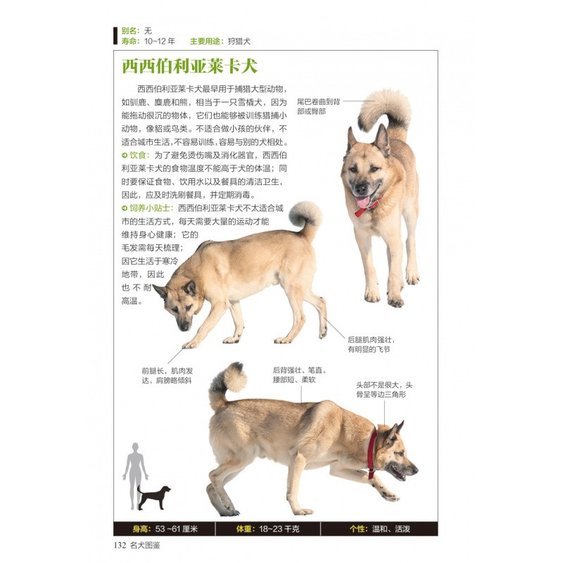 名犬图鉴 :167种