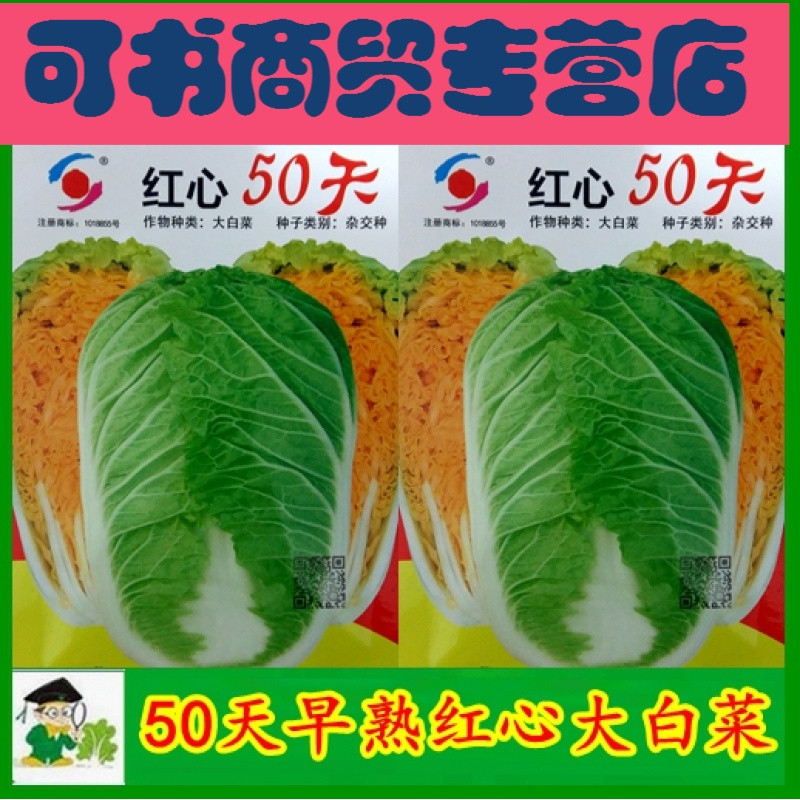 可书50天红心大白菜种子 四季红运白菜种子籽杂交好吃