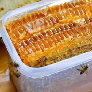 农家土蜂蜜正品蜂巢蜜嚼着吃盒装500克 蜜纯正天然