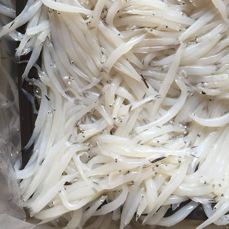 银鱼500g 面条鱼 新鲜 产发