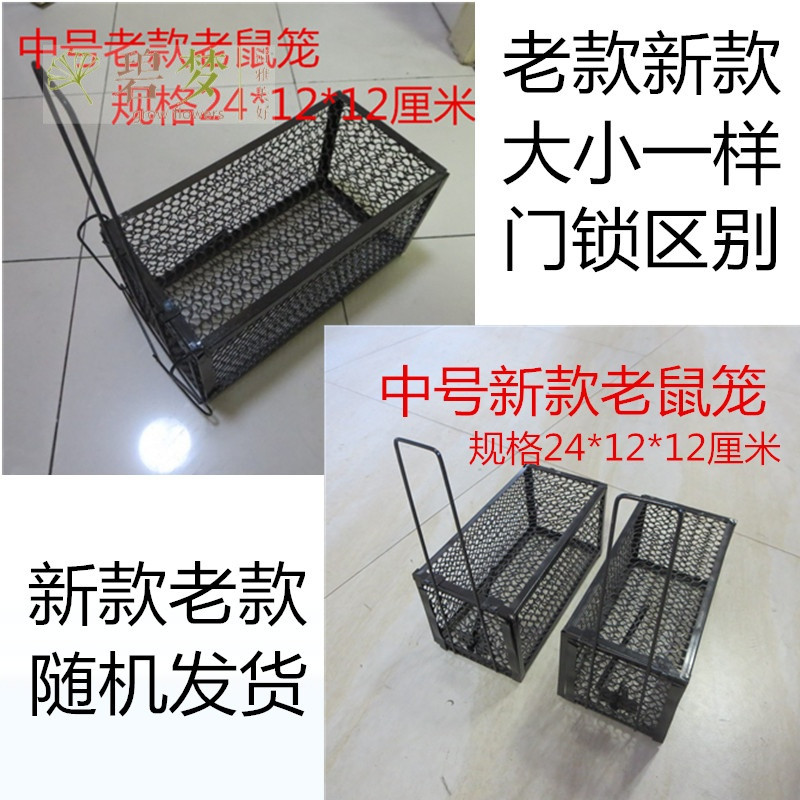 抓老鼠神器_猫抓老鼠_抓蟑螂神器图片-圈子花