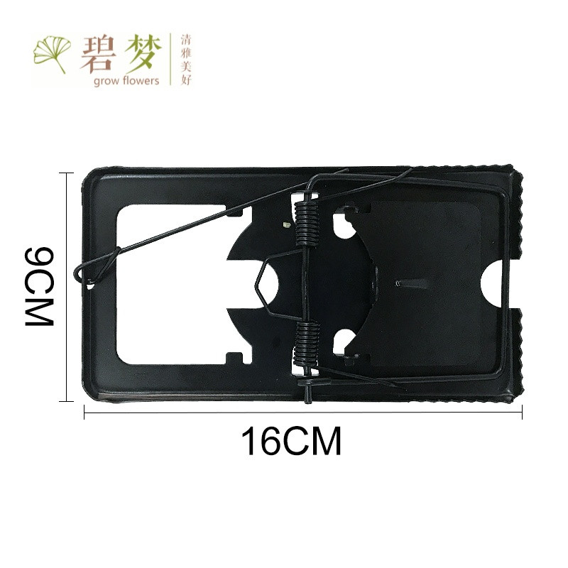 抓老鼠神器_猫抓老鼠_抓蟑螂神器图片-圈子花