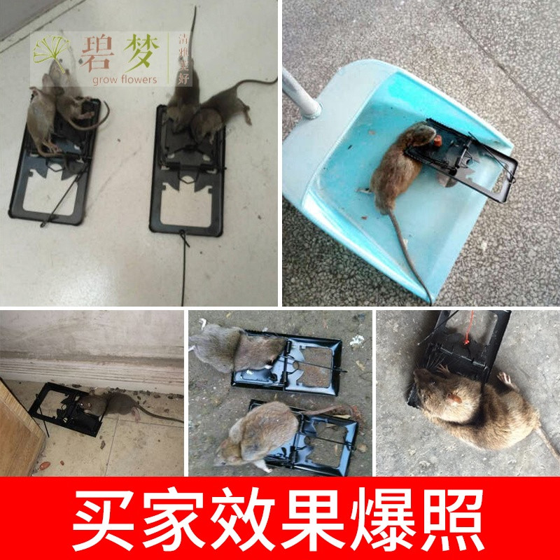 家用老鼠夹捕鼠器老鼠笼子灭鼠器抓老鼠神器捕鼠夹老鼠笼老鼠夹子