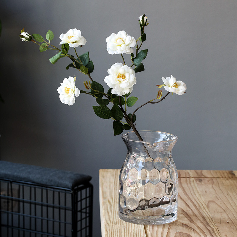 透明水培玻璃花瓶创意家居客厅摆件装饰鲜花插花花器花瓶图片