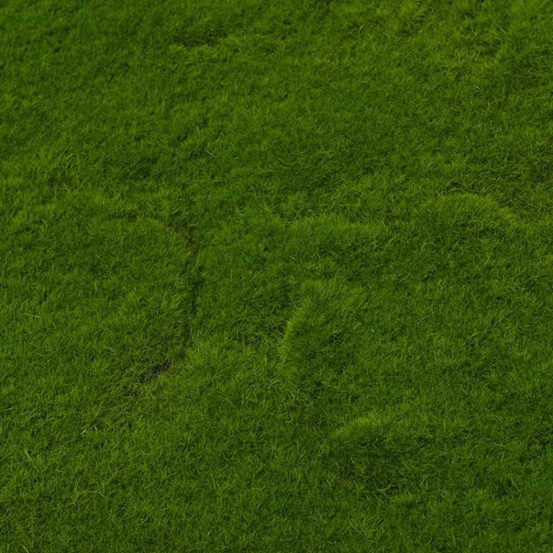 仿真绿植物墙青苔藓草皮人造草坪绿色植物场景橱窗展示假苔藓装饰