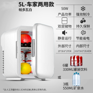 闪电客车载迷你小冰箱小型家用冷藏寝室宿舍制冷车家两用租房冷热箱mini