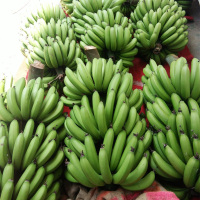 9斤 高山农家香甜香蕉 新鲜青香蕉
