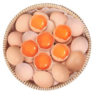 赛卡伊 农家正宗土鸡蛋散养农村笨鸡蛋新鲜营养10枚柴鸡蛋整箱批发