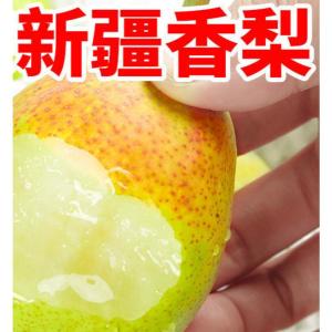 赛卡伊 香梨水果新鲜应季红香酥梨子 批发价 10斤薄皮