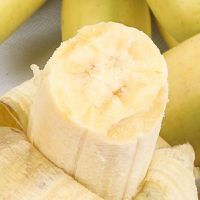 鲜木 正宗福建漳州苹果蕉 粉蕉 当季新鲜水果 特产小米蕉芭蕉精选9斤装