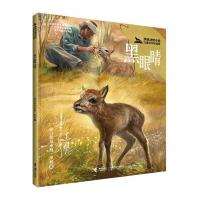 黑鹤动物小说儿童彩绘拼音版 黑眼睛