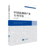 中国盐湖锂产业导航|葛飞|知识产权出版社|9787513058575