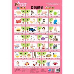[N]自然拼读(双面有声版)/小海豚启蒙必备挂图-9787572104640