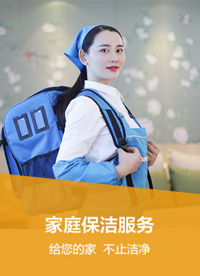苏宁帮客_家庭保洁服务