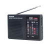 德生(Tecsun) R202T 袖珍式两波段电视伴音收音机