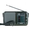 德生(TECSUN)手调收音机R-404 黑