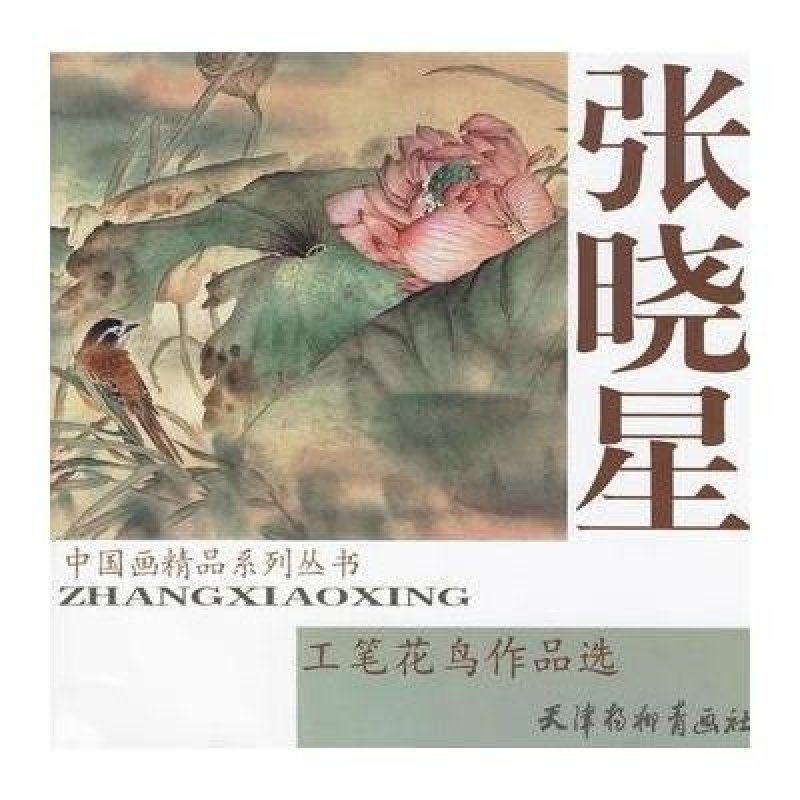 张晓星工笔花鸟作品选