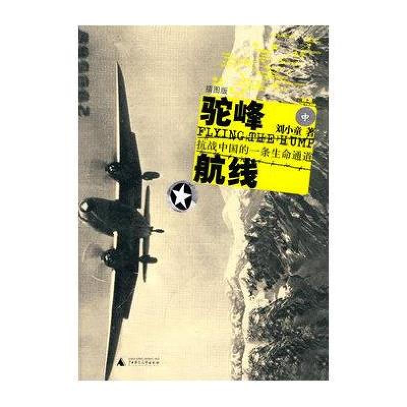 驼峰航线:抗战中国的一条生命通道(插图版)