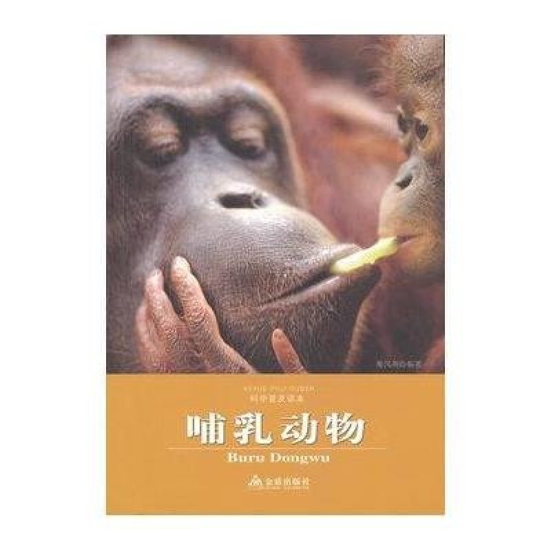哺乳动物