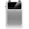 飞利浦(PHILIPS) 便携式音箱 SBM150WHI/93 白色
