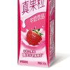 蒙牛(MENGNIU) 真果粒牛奶饮品（草莓）250g*12 礼盒装 （青春有你训练生助力版）