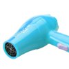 康夫(Kangfu）迷你家用恒温护发电吹风机KF-3028