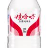 娃哈哈纯净水596mL