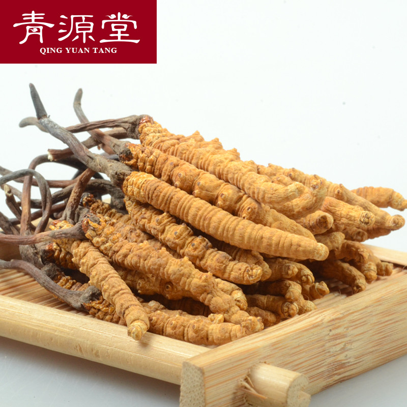 青源堂 藏红花