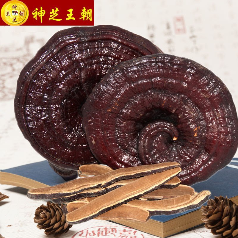 神芝王朝 赤灵芝片250克 精品选装