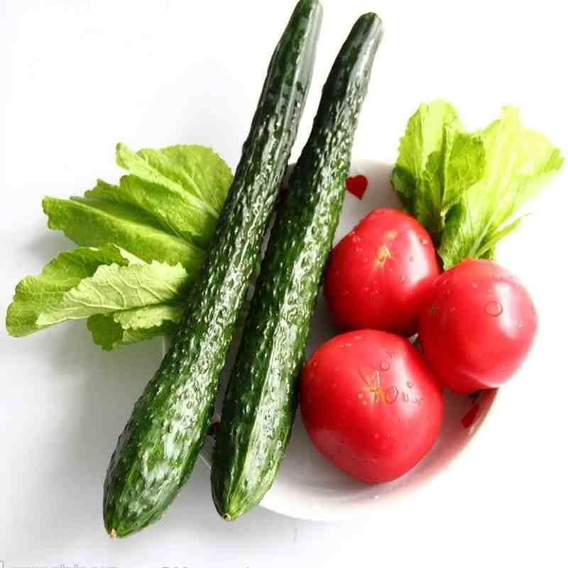 绿丰包装芹菜