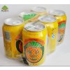 广氏菠萝啤果味饮料330ml