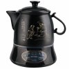 天际分体式中药煲BJH-300D