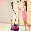 haier/海尔HY-GF2510R家用服装店蒸汽分体独立双杆挂烫机熨斗挂式