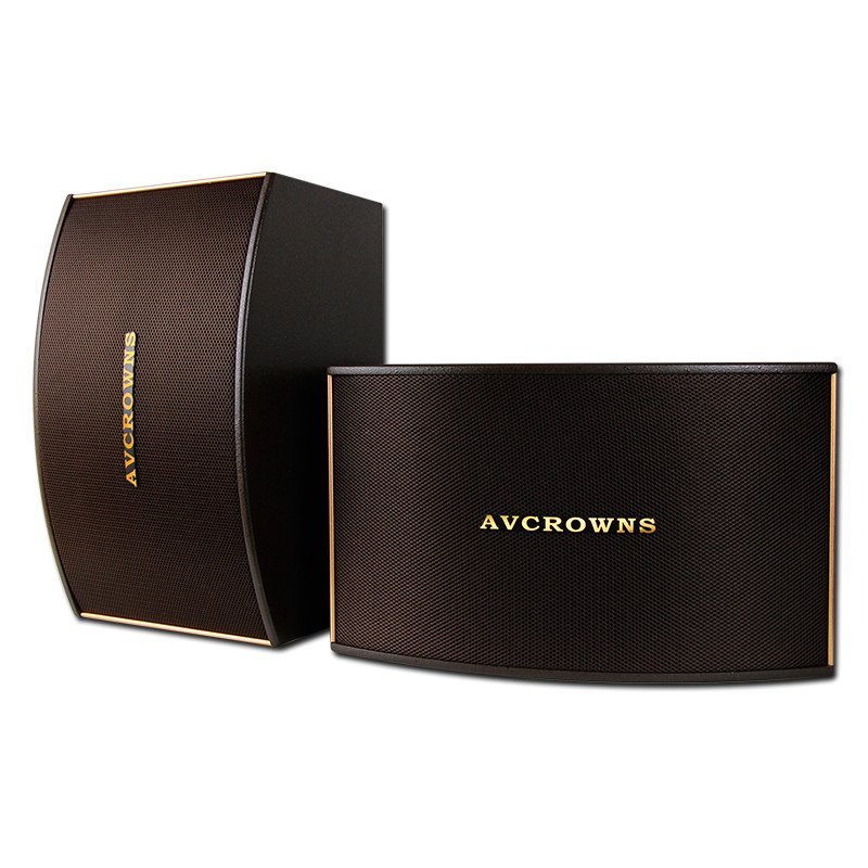 AVCROWNS/皇冠 OK-560卡包 卡拉OK专业音箱KTV音响 家庭会议婚庆专用卡包箱