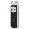 爱国者（aigo）录音笔R5599-8G(黑)