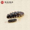 宫品2.3-2.9cm淡干小海参1只