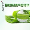 朵拉朵尚芦荟水原液 保湿补水柔肤爽肤