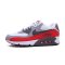 Nike 耐克男鞋AIR MAX 90 ESSENTIAL 男子运动鞋 537384 537384-039 42码