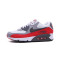 Nike 耐克官方 NIKE AIR MAX 90ESSENTIAL 男子休闲运动鞋 537384 537384-039 42码