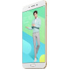 OPPO R9m 全网通4G手机 金色 64G/4G（杨洋定制机）