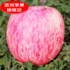 陕西洛川苹果水果新鲜水果红富士苹果6枚中果非阿克苏烟台苹果