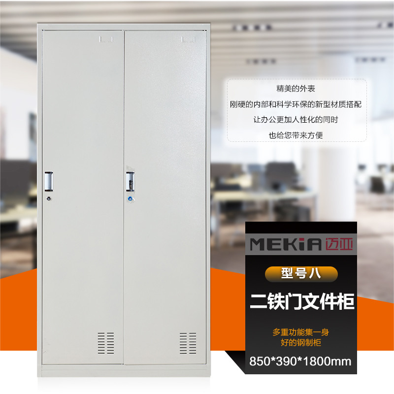 凭证柜财务凭证柜铁皮柜 办公文件柜铁皮带锁 通铁门资料柜员工柜 迈亚家具 数量多可以定做尺寸.