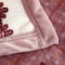 龙之吻毛毯加厚法兰绒冬季空调毯1.8米/1.5m珊瑚绒毯子被盖毯双人床单午睡毯 1.5*2.0m 梦幻星月
