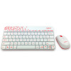 罗技（Logitech）MK240 Nano无线键鼠套装 白色（920-008160）